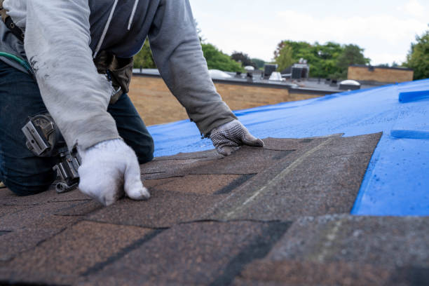 Best Flat Roof Repair Services  in Crivitz, WI