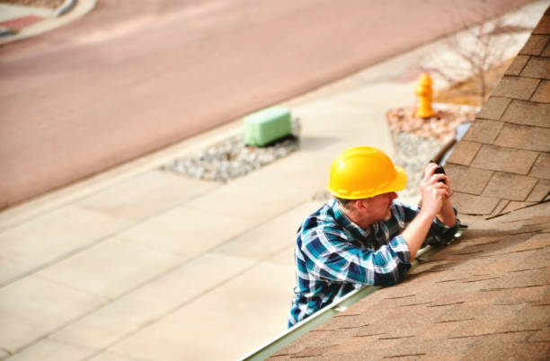 Best Roof Gutter Cleaning  in Crivitz, WI